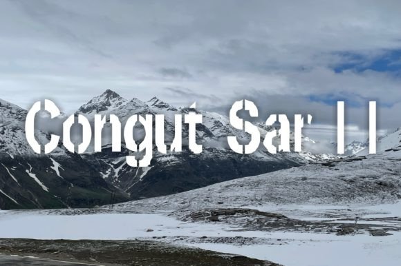 Why Congut Sar Ii Is the Quirky Display Font Your Next Project Needs
